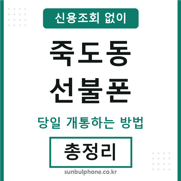 죽도동선불폰