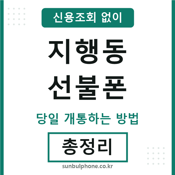 지행동선불폰