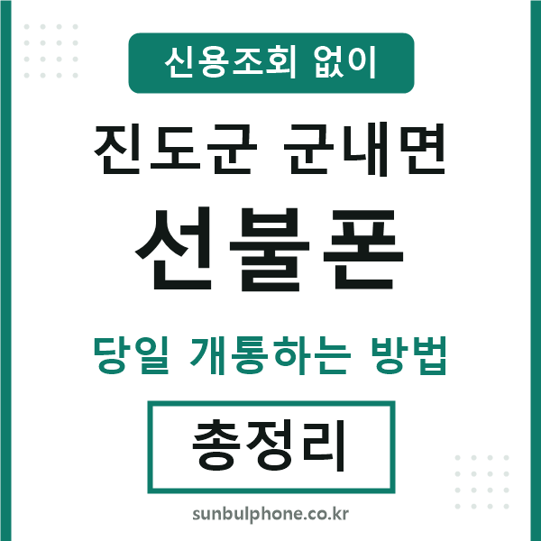 진도군군내면선불폰