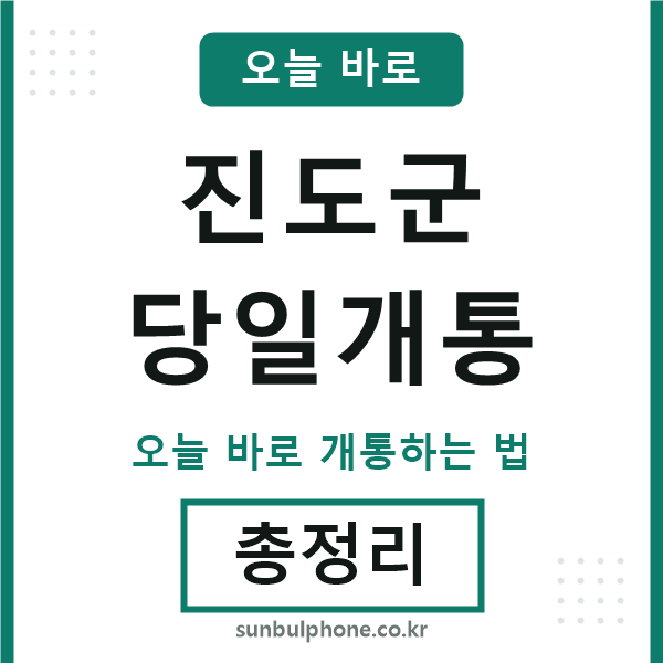 진도군 당일개통