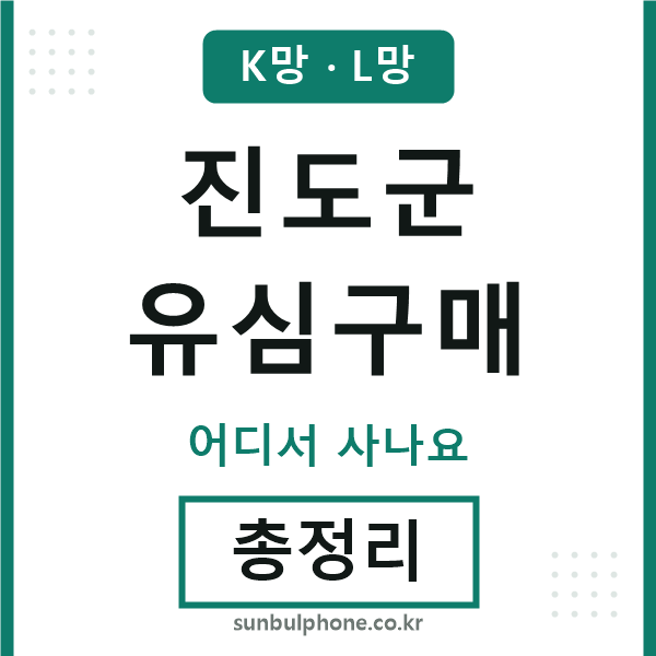 진도 유심구매