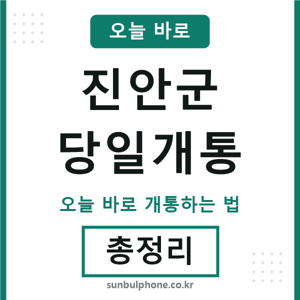 진안군 당일개통