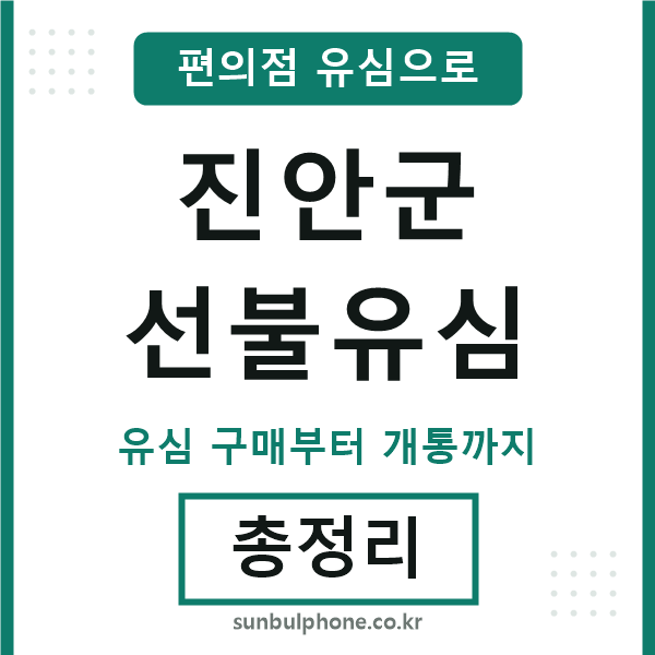 진안군선불유심