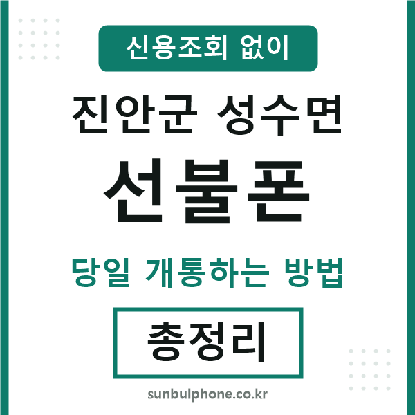 진안군성수면선불폰