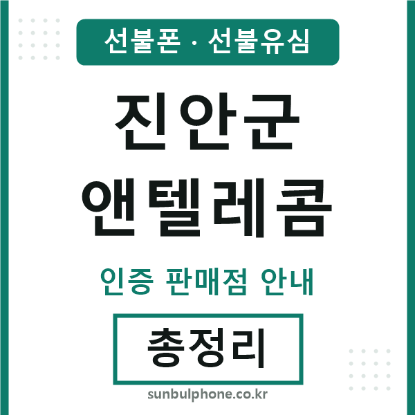 진안엔텔레콤