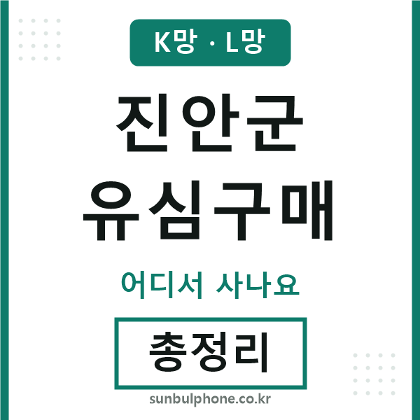 진안군 유심구매