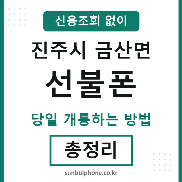 진주시금산면선불폰