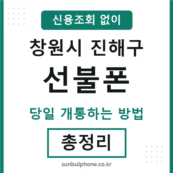진해구선불폰