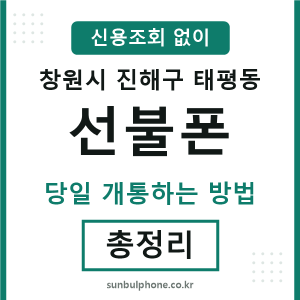 진해구태평동선불폰