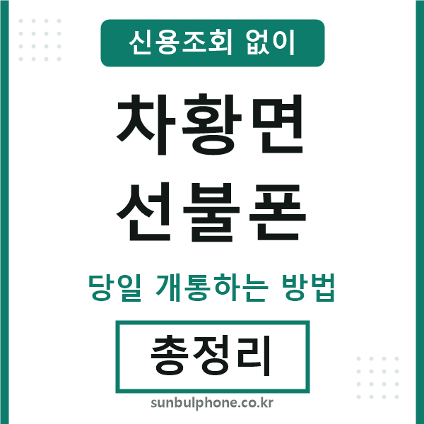 차황면선불폰