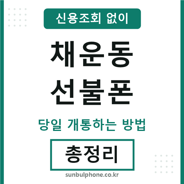 채운동선불폰