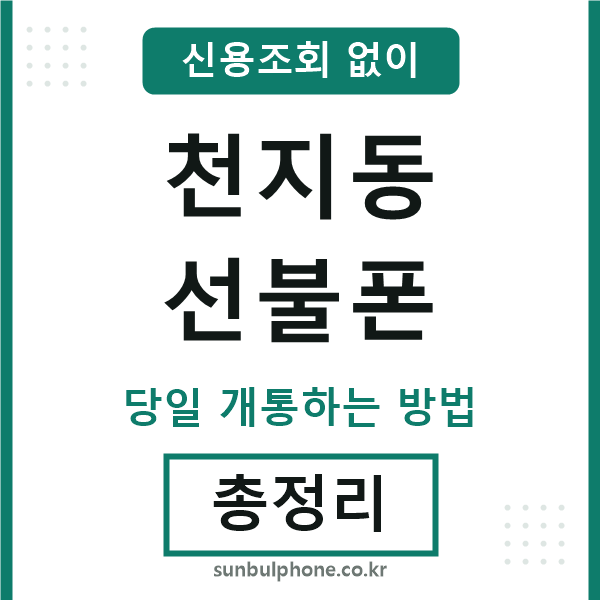 천지동선불폰