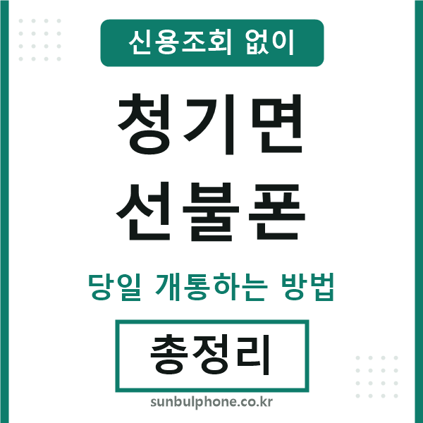 청기면선불폰