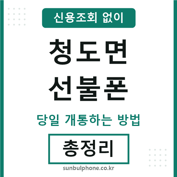 청도면선불폰