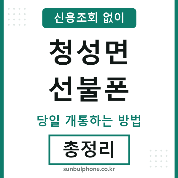 청성면선불폰