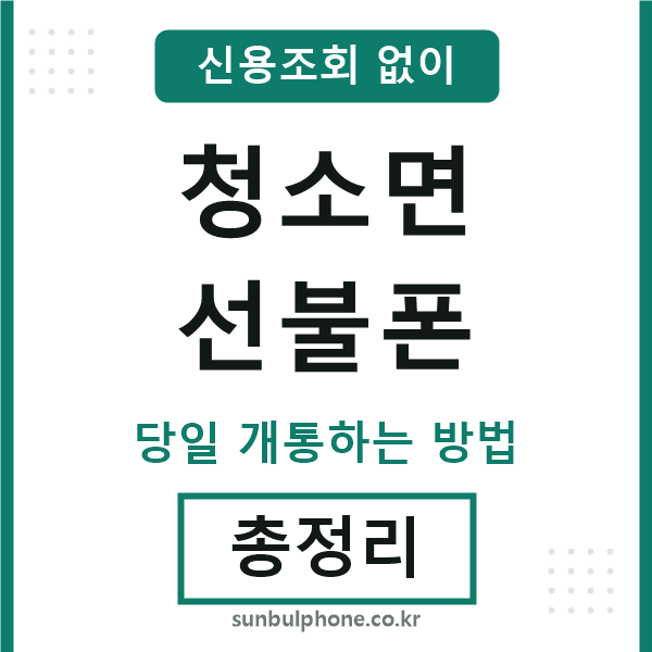 청소면선불폰