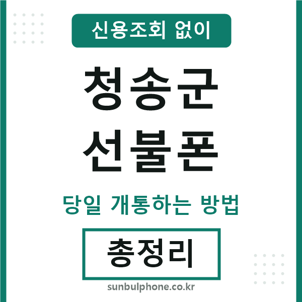 청송군선불폰