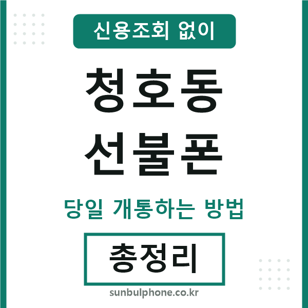 청호동선불폰