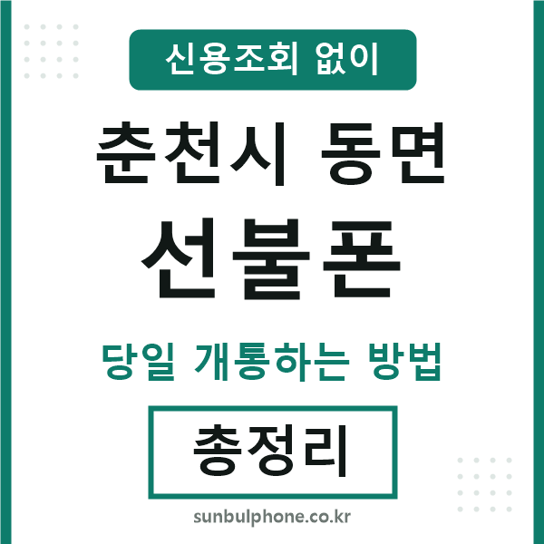 춘천시동면선불폰