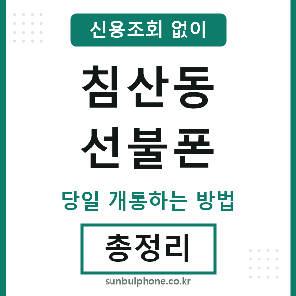 침산동선불폰