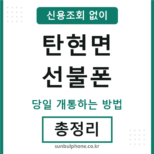 탄현면선불폰
