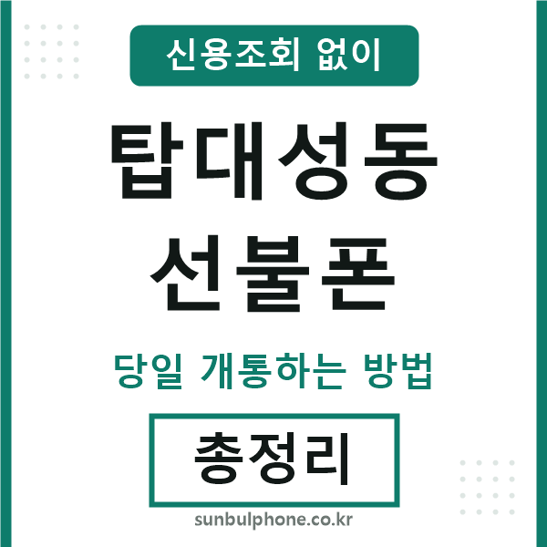 탑대성동선불폰