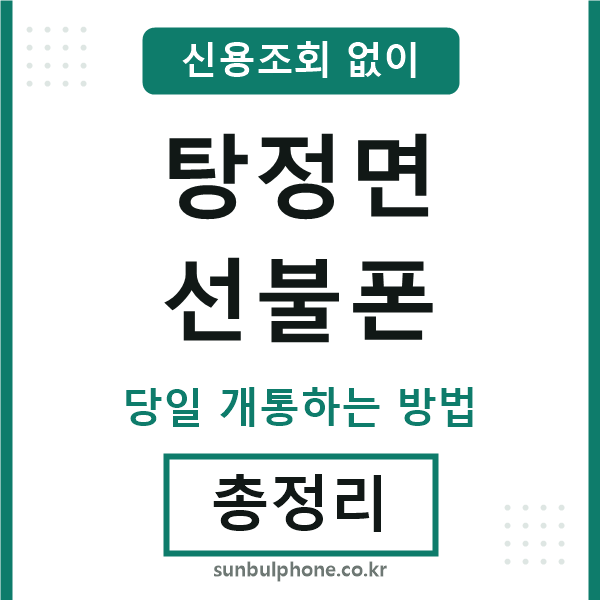 탕정면선불폰