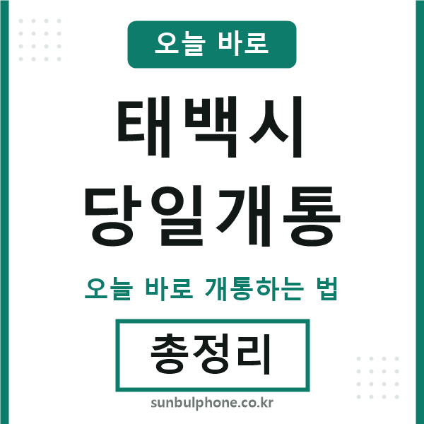 태백 당일개통