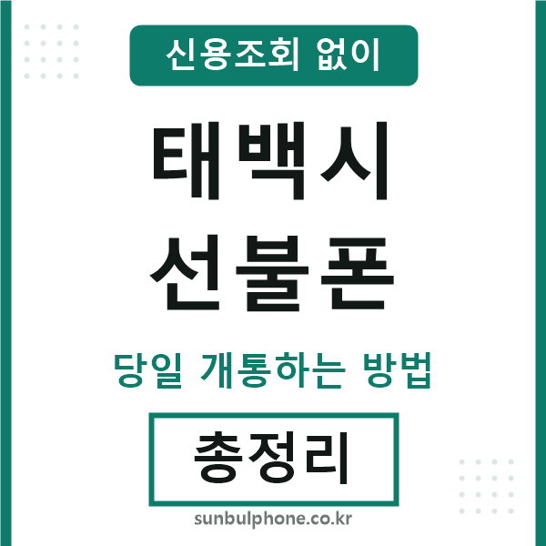 태백시선불폰