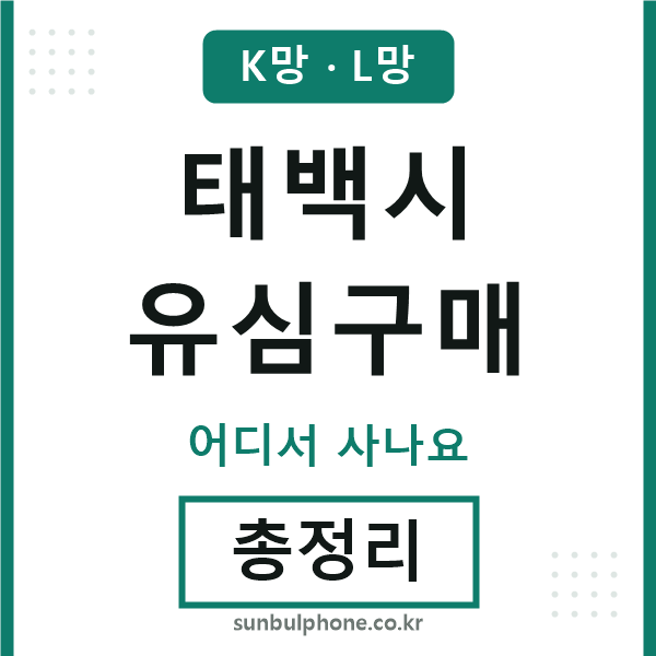 태백 유심구매