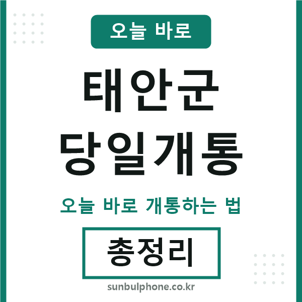 태안군 당일개통