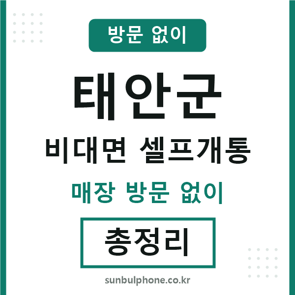 태안 비대면 셀프개통