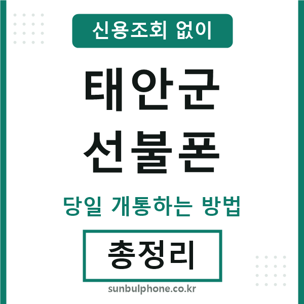 태안군선불폰