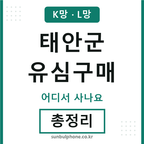 태안군 유심구매