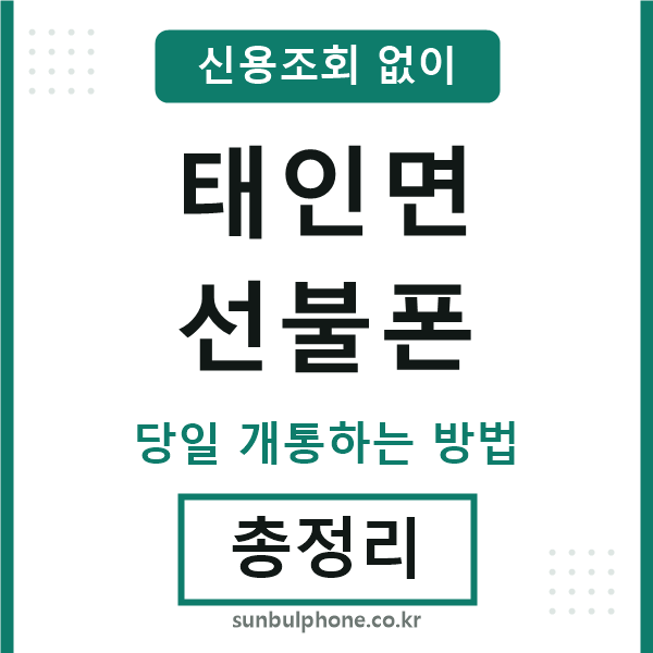 태인면선불폰