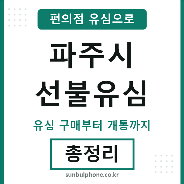 파주시선불유심