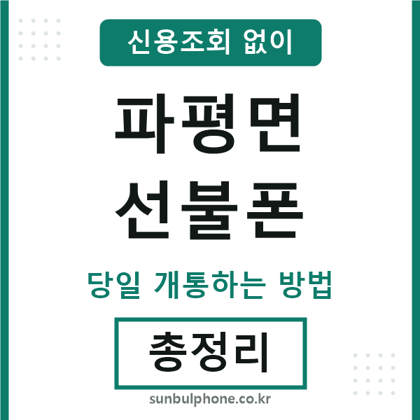 파평면선불폰