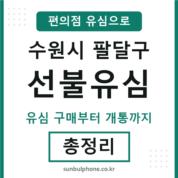 팔달구선불유심