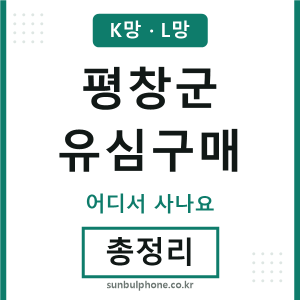 평창군 유심구매