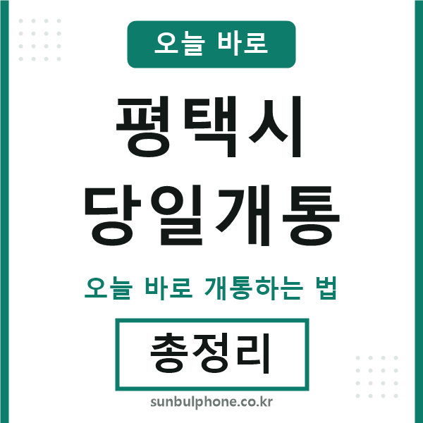 평택 당일개통