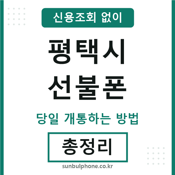 평택시선불폰