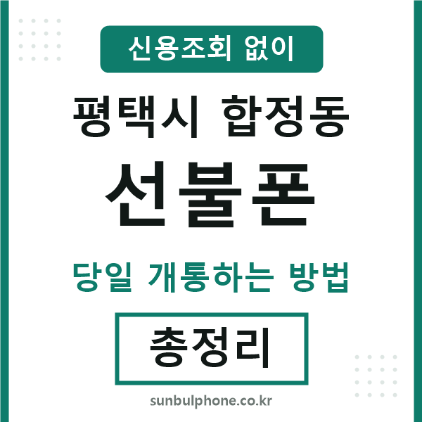평택시합정동선불폰