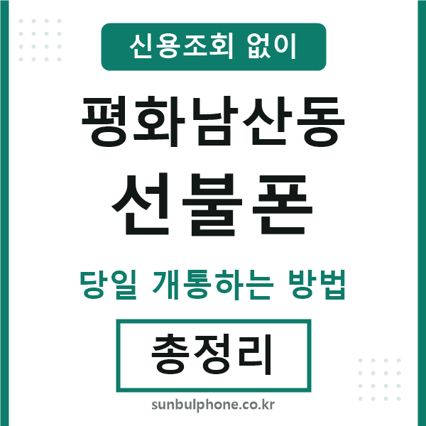 평화남산동선불폰
