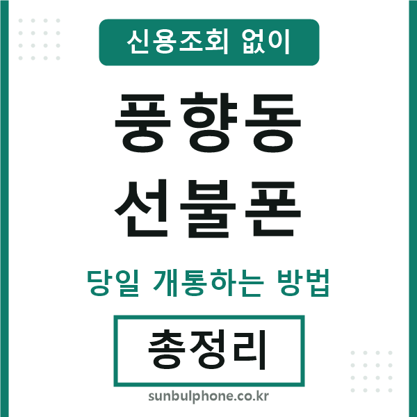 풍향동선불폰