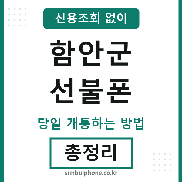 함안군선불폰