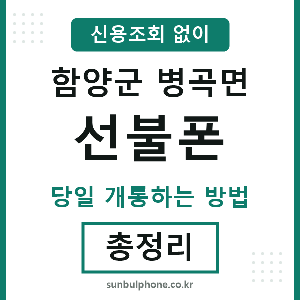 함양군병곡면선불폰