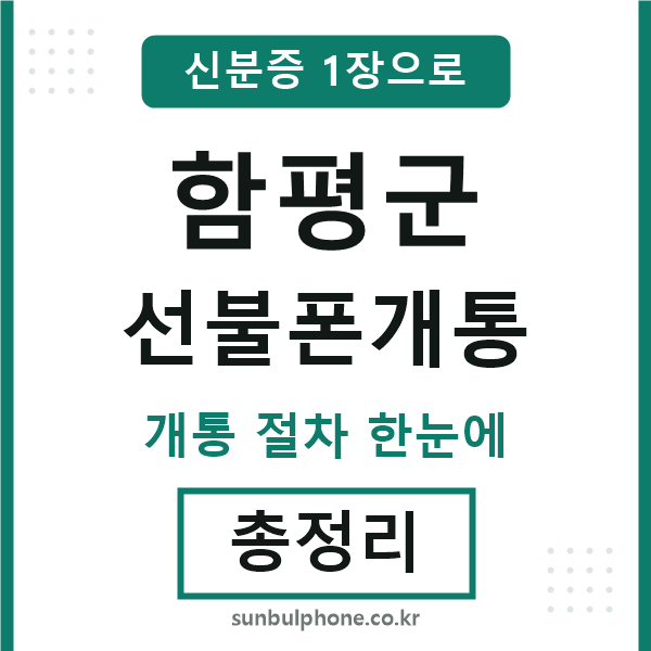 함평군 선불폰개통