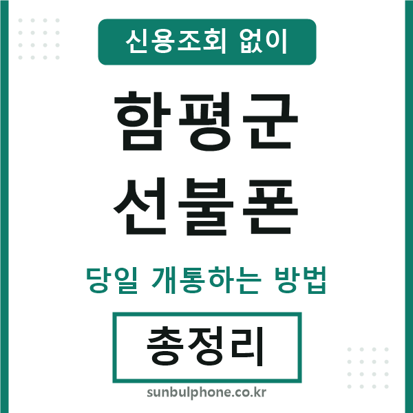 함평군선불폰