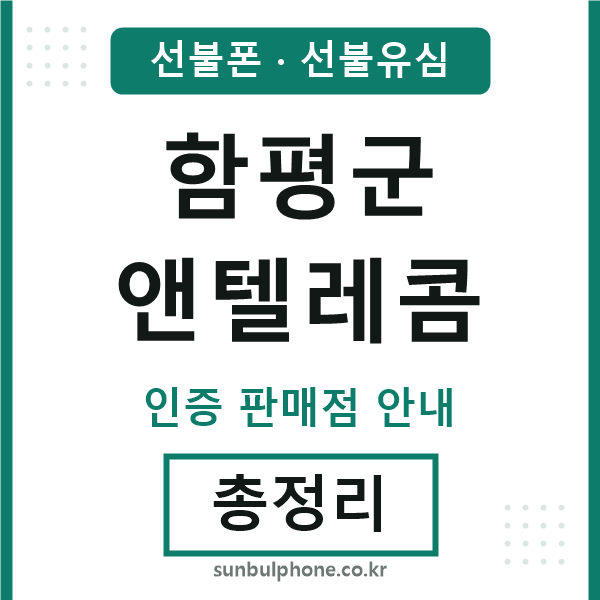 함평군앤텔레콤