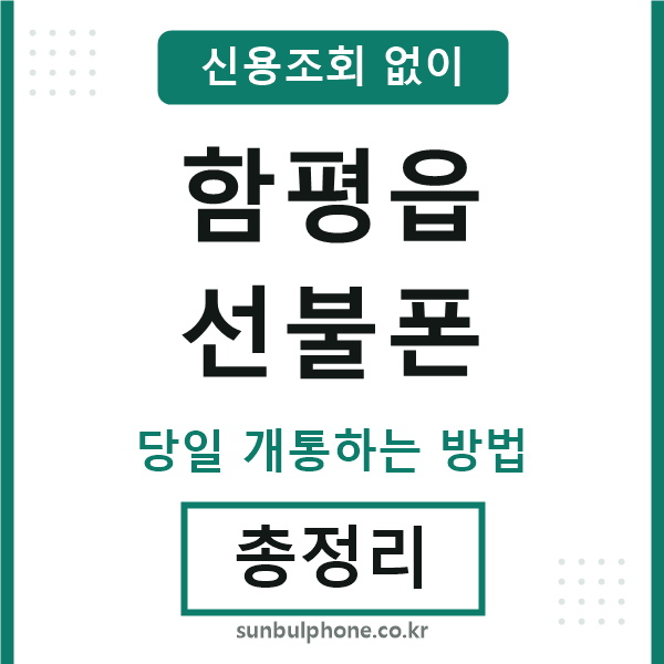 함평읍선불폰